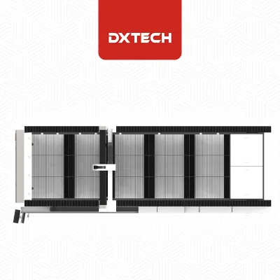 Shandong Large Size DXTECH 2060FP Steel Plate Fiber Optical Laser Cutting Machine for Cs Ss Al Metal Sheet