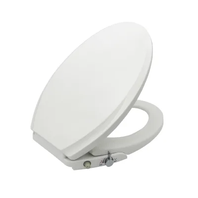 American Modern Adult Plastic Smart Toilet Seat Lid PP Elongated Bidet with Dual Nozzles OEM/ODM Wholesale WC for Bathroom