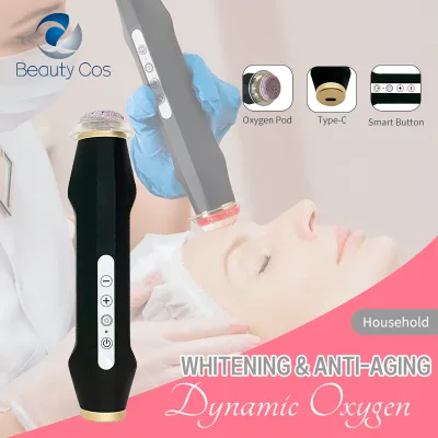 Nano Oxygen Bubble Generator Oxygen Bubble Co2 Rechargeable Bubble Pen Facial Oxygen Jet