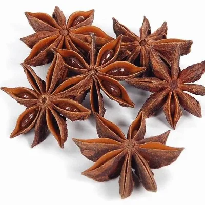 Hot Sale Natural Dried Anise High Quality Dried Spice Dried Star Anise