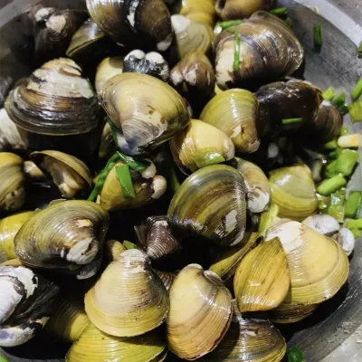 Extraordinary Flavour Hot Selling Shellfish Frozen Cooked River Clam for Sale