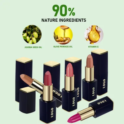 Wholesale Private Label Custom Logo Lipstick Highly Moisturizing And Nourishing Easy To Color Lipstick
