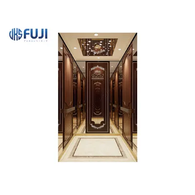 Good Quality Elegant Small Elevator Vks Fuji Brand Price of Lift Elevator Elevators for Person