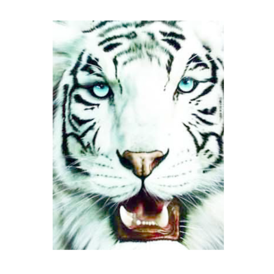 Gallery Art Decorative White tiger 3d Animation Picture