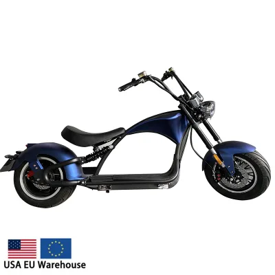 12Inch 2000W 2 Wheel Self Balancing Scooter Motorcycle Electric Scooter With CE EEC