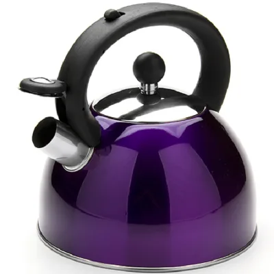 Kichen Induction Whistling Kettle Cheap Round Kettle Water Bottles Tea Pot With Infuser