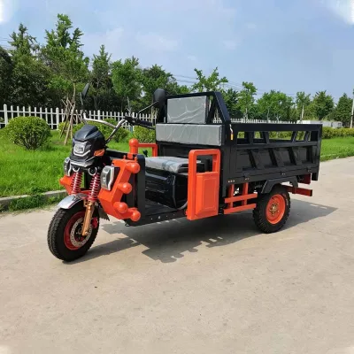 Trike All Terrain Fat Tyre Delivery Motorcycle Chinese Electric Mini Cargo Tricycle Car Price Three Wheels for Adults 1200W