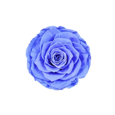 2025 New Style Big 9-10 cm Rose Real Fresh Romantic Beautiful Preserved Rose Wholesale Dried Roses Flowers