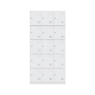 15-Door Modern Adjustable Metal Steel Locker with Locks and Keys for Staff School Hospital Mall Home Office Use