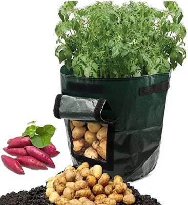 10-Gallon Vegetable Growing Bag Reinforced Handles Harvest Flaps Breathable Home Garden Tent Potting Outdoor Growth Agriculture