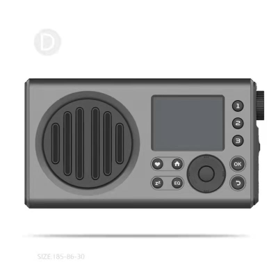 Portable Car Internet Radio Musical Wifi Internet Receptor Radio