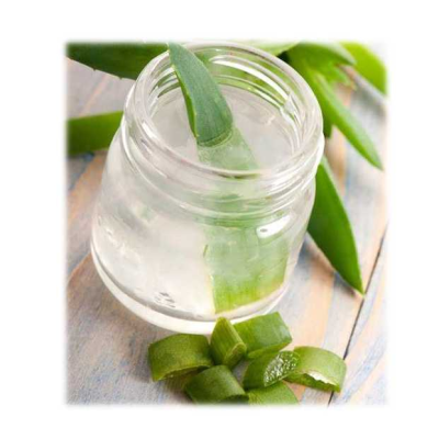 100% Natural Aloe Vera Powder/aloe Vera Plant/aloe Vera Gel