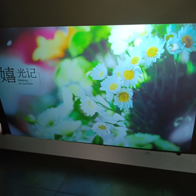 HOT SALE Clear or Transparent Rear Projection Film