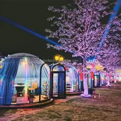 XLT Prefabricated PC Geodesic Dome - Waterproof & Transparent - for Safari/Resort/Glamping - Winter-Ready (CE Certified)