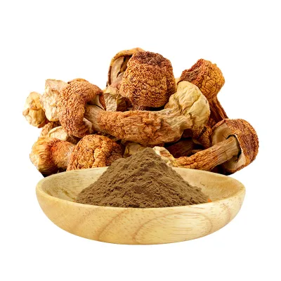 AMULYN Agaricus Blazei Extract 10:1 Ratio Powder Brazilian Mushroom Extract Standardized Bulk OEM ODM 1kg