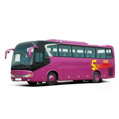 Used Ukraine 0 tariff Buses and Coaches Electric Passenger Bus New Energy Vehicles Electric Bus