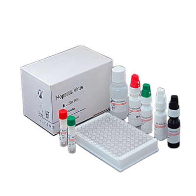 Testosterona Elisa test Kit RUO Animal Elisa Diagnostic Kit
