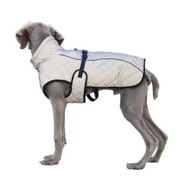 Luxury Brand Fashion Polyester Pet Winter Coat for Large Dogs Modern Style Waterproof Silver Grey for Outdoor Use in Spring