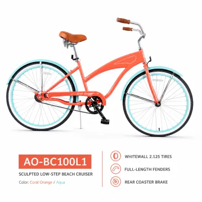 Classic Retro Coastal Beach bicycle Brown Leather Padded Seat Full Fender Beach Bike for Leisure Seaside