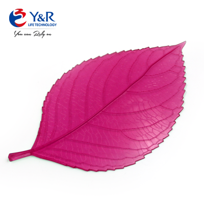 Easy to Apply Release Scent Lasting Longer Leaf Air Freshener