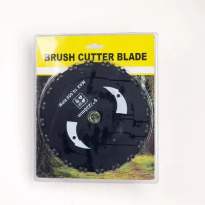 Disc