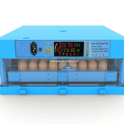 Auto-filling Water 70 Pcs Mini Egg Incubator  Blue Color