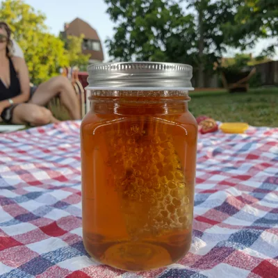 Wholesale Private Label Honey with Comb Premium Pure Bulk Fresh Comb Royal Jelly Honey Delee Foods Group Natural Sweet Honey