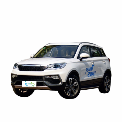 High Speed New Energy Bev Car New Electric Automobiles Made in China New Cars