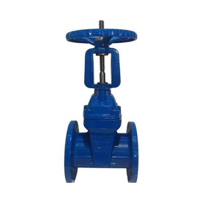 New Rising Stem Cast Iron Gate Valve with Resilient Seated Flange Soft Sealing Design Competitive Prices