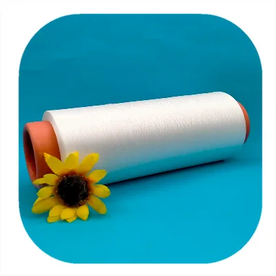 Hot Sale Synthetic Full Dull HIM PA6 Nylon DTY Filament Yarn for Knitting