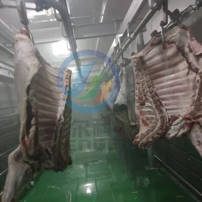 Good Performance and Quality Industrial Automatic Frozen Meat Thawing Machine/defrosting Equipment