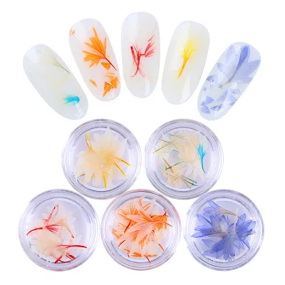 12 Colors Nail Art Decorations Natural Dried Flower