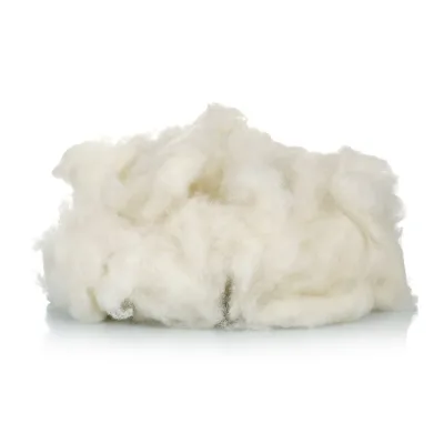 High Quality DR Brand Scoured 100% Wool Fiber Dehaired Carded 22-24mm Length 16mic Fineness for Spinning Yarn