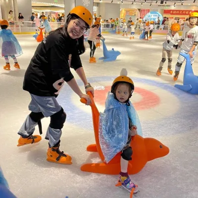 Wholesale Hot Selling Kids Beginner Foca Sea lion Skating Aid