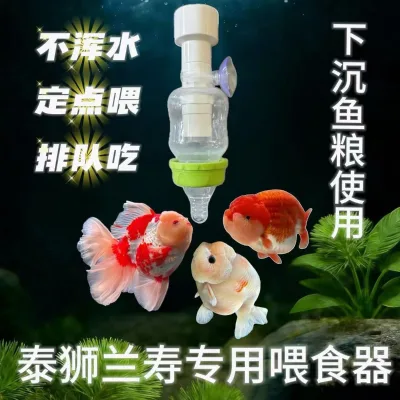 Nipple feeder for fish tanks, anti-turbidity, suitable for Thai Lionfish and Ranchu, sinking fish food feeder