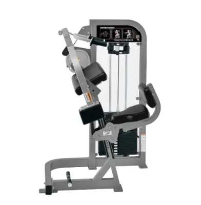 CXF5024X Fitness Equipment Wholesale Gym Commercial Triceps Extension Machine