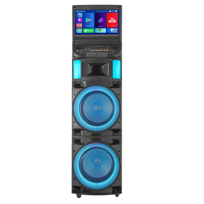 High Quality Screen Karaoke Machine with Wireless Microphone and Wifi