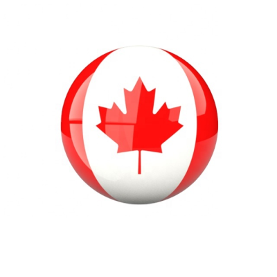 Best Fedex Shipping Agent Ddp Shipping Fast Delivery Shipping China Canada Door to Door Delivery Fast Shipping Service