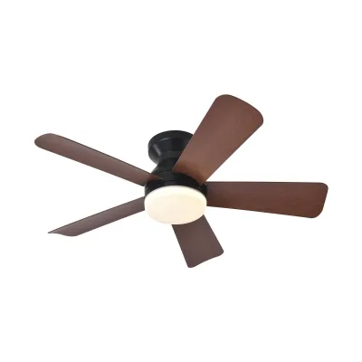 Silent Frequency Conversion Modern LED Ceiling Fan Light with 5 Blades Remote Control Dimmable for Living Room-Factory Wholesale