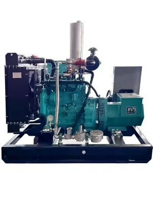 20kW 25kVA 3 Phase 1500RPM Gas Turbine Generator Set Woodward System ATS Auto Start for Factory Farm ISO CE Approved Power