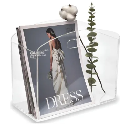 Eco-Friendly Acrylic Portable Magazine Rack and File Organizer Modern Store Display for Living Room and Office