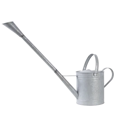 Esschert Design Traditional English Old Zinc extra Long Spout Watering Can, Removable Extension of the Spout and Nozzle