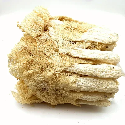 Selected Natural Phallus Impudicus Dried Bamboo Fungus & ZhuSun