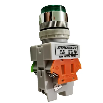 LAY37-11DNZS Plastic 10A 24V Self-Locking Illuminated Push-Button Switch with 22 Mounting Hole Mechanical Life None