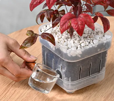 Colorful Eco-Friendly Durable Lightweight Self Watering Square Flower Pot 11.8cm/16cm Plastic Water Storage Saucer Home Garden