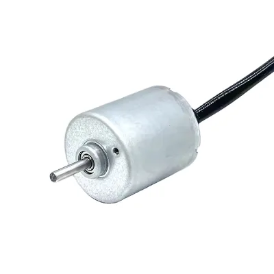 Customized Wholesale High Speed BLDC Motor 3v/24v 3000 6000RPM Permanent Magnet Mini Brushless Motor for Drone and Fan
