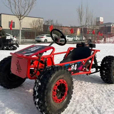 212cc 7.5HP Equipped With Steering Wheel 10 Inch Tires Foot Pedal Adult Entertainment Equipment Factory Wholesale Supply Go Kart