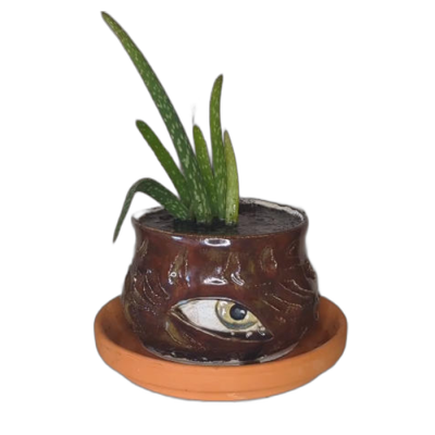 Abstract Face Ceramic Pot