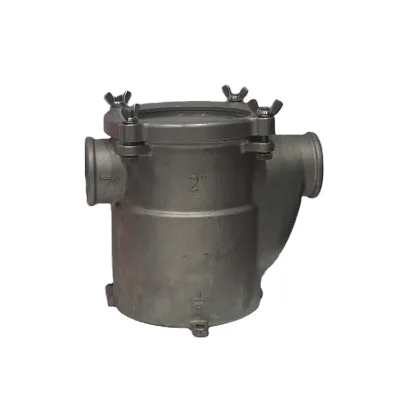 China-Made Stainless Steel 304/316 Marine Sea Water Filter/Strainer for Boat Marine Diesel Engine-220V Voltage