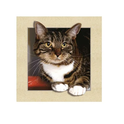 100% Professional Factory Custom Animals 3d Lenticular Posters